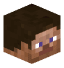 _hdsv - head